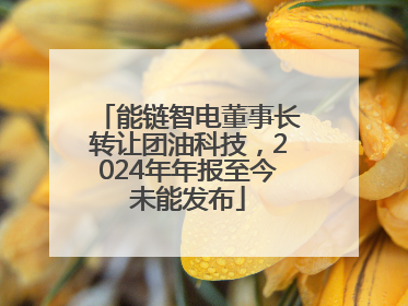 能链智电董事长转让团油科技，2024年年报至今未能发布