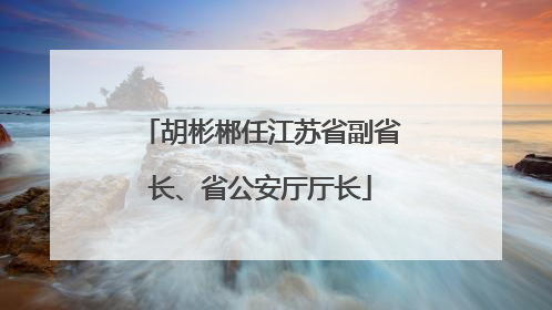 胡彬郴任江苏省副省长、省公安厅厅长