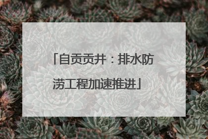 自贡贡井：排水防涝工程加速推进