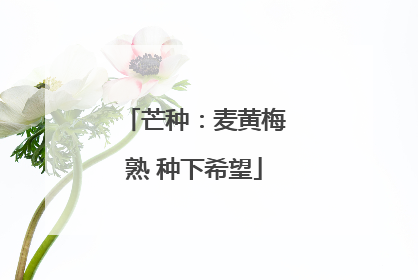 芒种：麦黄梅熟 种下希望