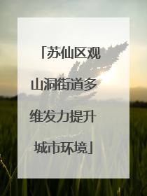 苏仙区观山洞街道多维发力提升城市环境