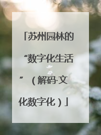苏州园林的“数字化生活”（解码·文化数字化）