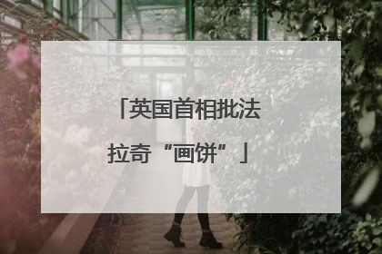 英国首相批法拉奇“画饼”