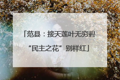 范县：接天莲叶无穷碧 “民主之花”别样红