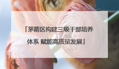 茅箭区构建三级干部培养体系 赋能高质量发展