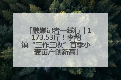 融媒记者一线行丨1173.53斤！李鹊镇“三作三收”首季小麦亩产创新高