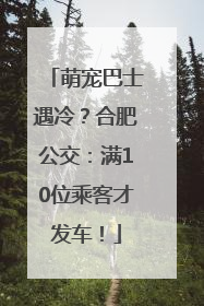 萌宠巴士遇冷？合肥公交：满10位乘客才发车！