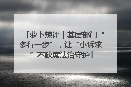 萝卜辣评｜基层部门“多行一步”，让“小诉求”不缺席法治守护