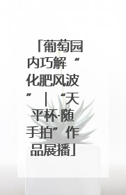 葡萄园内巧解“化肥风波”｜“天平杯·随手拍”作品展播