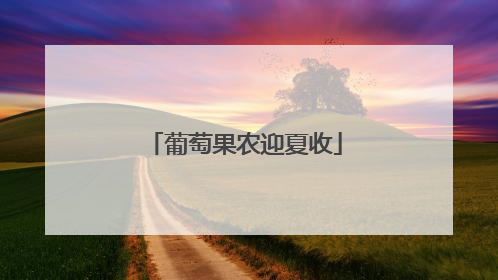 葡萄果农迎夏收