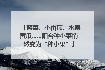 蓝莓、小番茄、水果黄瓜……阳台种小菜悄然变为“种小果”