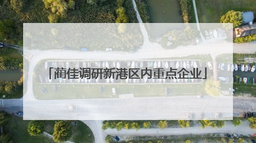 蔺佳调研新港区内重点企业