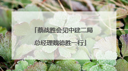蔡战胜会见中建二局总经理魏德胜一行