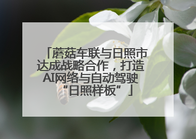 蘑菇车联与日照市达成战略合作，打造AI网络与自动驾驶“日照样板”