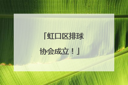 虹口区排球协会成立！