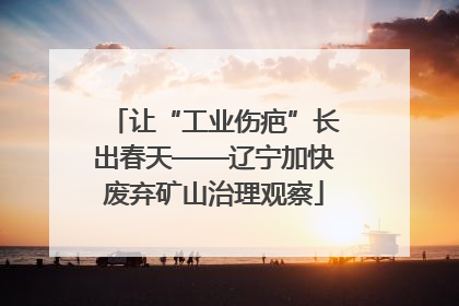 让“工业伤疤”长出春天——辽宁加快废弃矿山治理观察