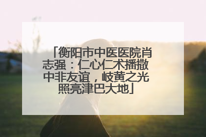 衡阳市中医医院肖志强：仁心仁术播撒中非友谊，岐黄之光照亮津巴大地