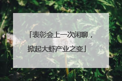 表彰会上一次闲聊，掀起大虾产业之变