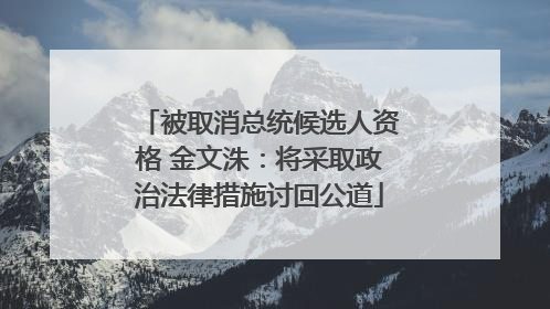 被取消总统候选人资格 金文洙：将采取政治法律措施讨回公道