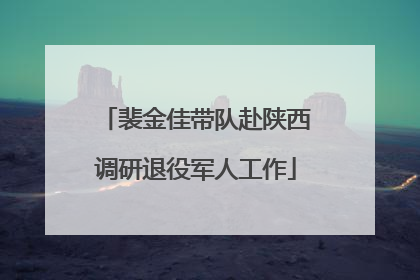 裴金佳带队赴陕西调研退役军人工作