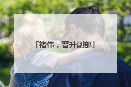 褚伟，晋升副部