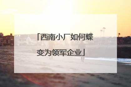 西南小厂如何蝶变为领军企业