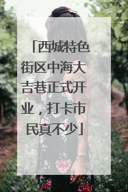 西城特色街区中海大吉巷正式开业，打卡市民真不少