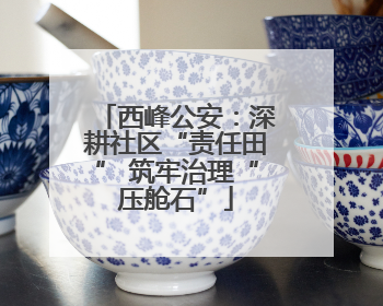 西峰公安：深耕社区“责任田” 筑牢治理“压舱石”