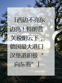 西边不亮东边亮！特朗普关税阴云下，德国最大港口汉堡港积极“向东看”