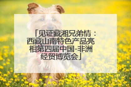 见证藏湘兄弟情：西藏山南特色产品亮相第四届中国-非洲经贸博览会