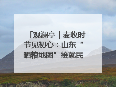 观澜亭｜麦收时节见初心：山东“晒粮地图”绘就民生温暖画卷