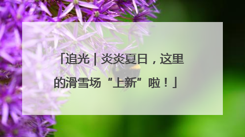 追光｜炎炎夏日，这里的滑雪场“上新”啦！