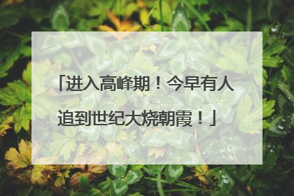 进入高峰期！今早有人追到世纪大烧朝霞！