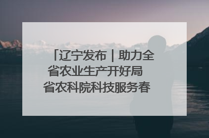辽宁发布｜助力全省农业生产开好局 省农科院科技服务春耕备耕成效显著