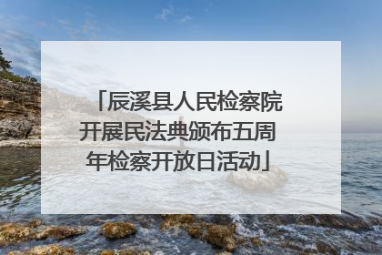 辰溪县人民检察院开展民法典颁布五周年检察开放日活动