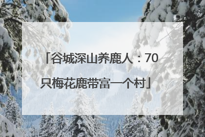 谷城深山养鹿人：70只梅花鹿带富一个村