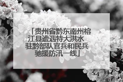 贵州省黔东南州榕江县遭遇特大洪水 驻黔部队官兵和民兵驰援防汛一线