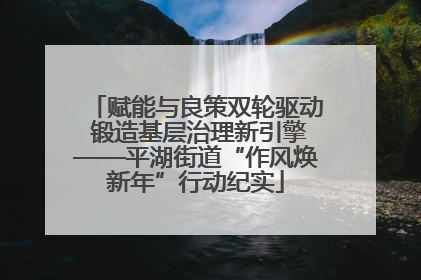 赋能与良策双轮驱动 锻造基层治理新引擎——平湖街道“作风焕新年”行动纪实