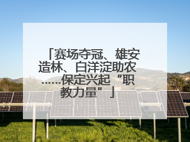 赛场夺冠、雄安造林、白洋淀助农……保定兴起“职教力量”