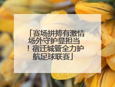 赛场拼搏有激情 场外守护显担当！宿迁城管全力护航足球联赛