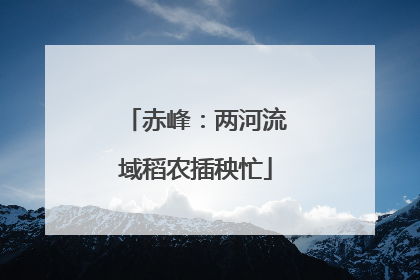 赤峰：两河流域稻农插秧忙