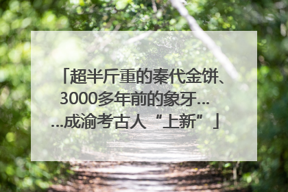 超半斤重的秦代金饼、3000多年前的象牙……成渝考古人“上新”