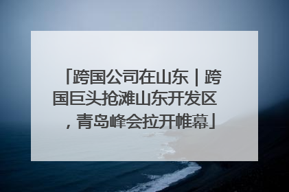 跨国公司在山东｜跨国巨头抢滩山东开发区，青岛峰会拉开帷幕