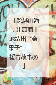 跨越山海，让高原土地结出“金果子”——援青故事②