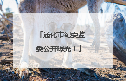 通化市纪委监委公开曝光！