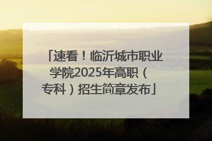 速看！临沂城市职业学院2025年高职（专科）招生简章发布