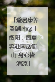 避暑康养到湖南②丨衡阳：盛夏奔赴南岳衡山 身心皆清凉