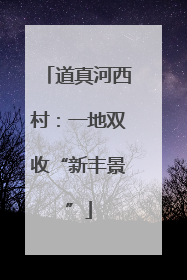 道真河西村：一地双收“新丰景”