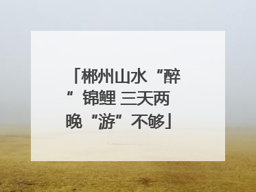 郴州山水“醉”锦鲤 三天两晚“游”不够