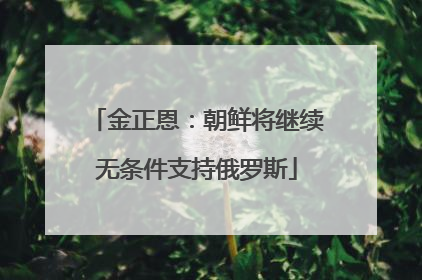 金正恩：朝鲜将继续无条件支持俄罗斯